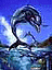 sensations's Avatar